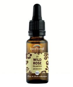 Eglantier - Wild Rose (37) BIO, 20 ml